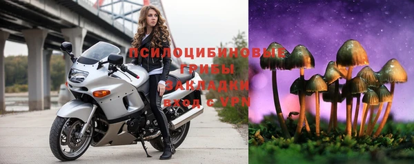 прущая мука Арсеньев