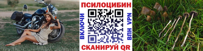 кракен зеркало  Оханск  Галлюциногенные грибы прущие грибы 
